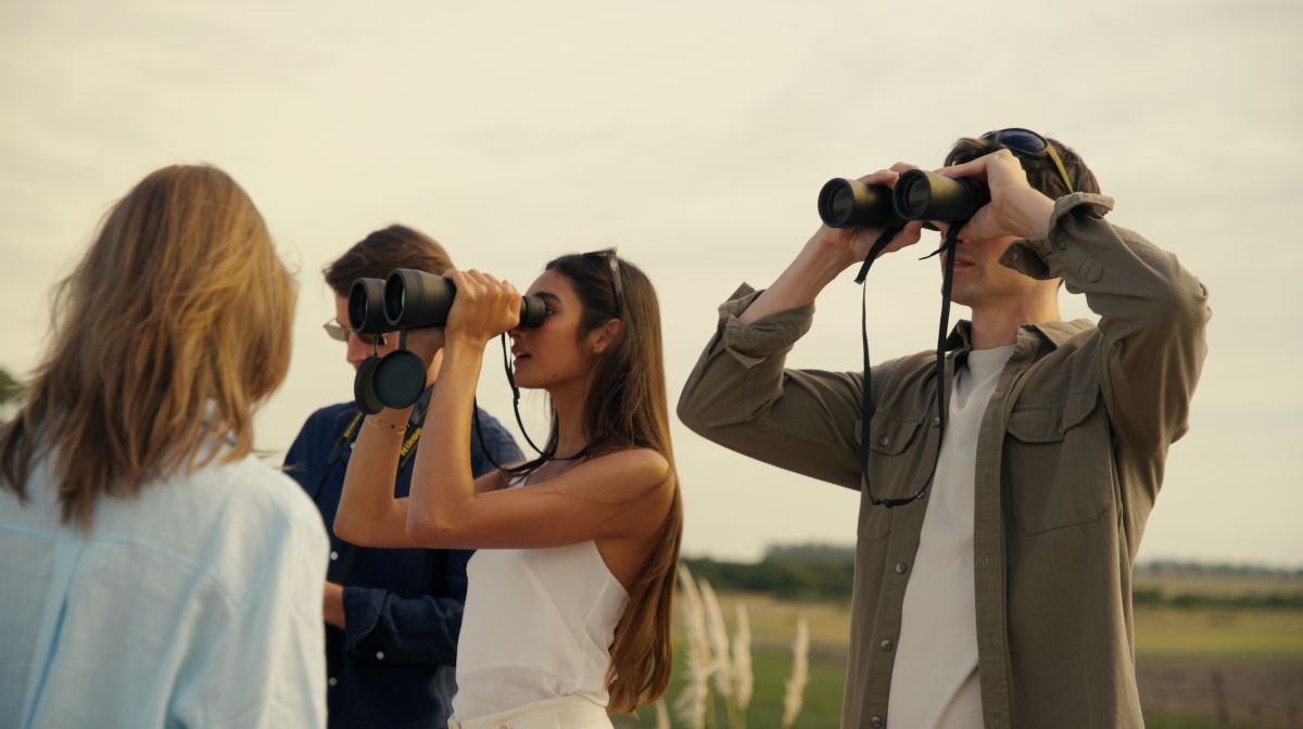 Birdwatching 3