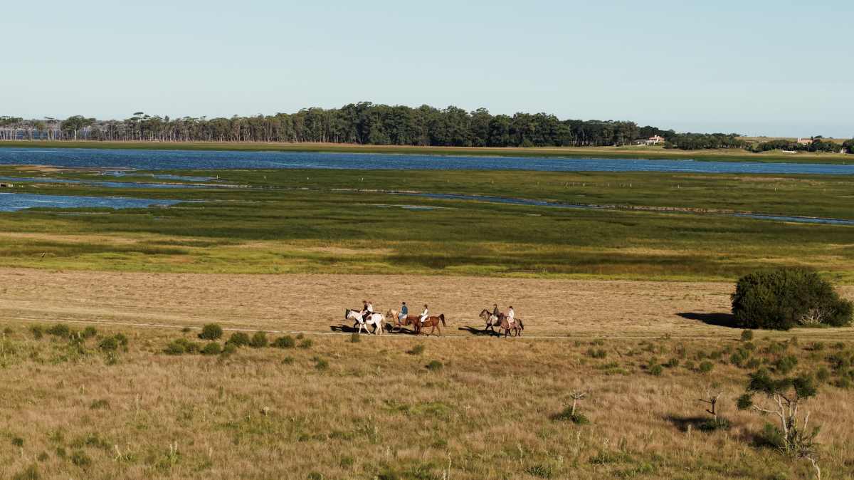 Horseback ride 4